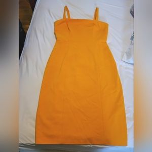 Antonio Melani Dress Size 8